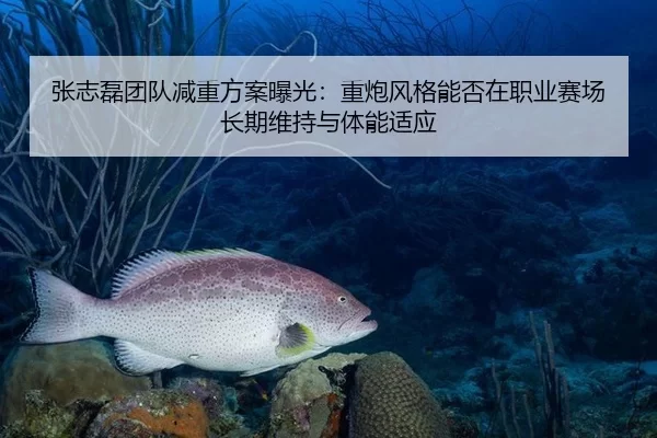 张志磊团队减重方案曝光：重炮风格能否在职业赛场长期维持与体能适应
