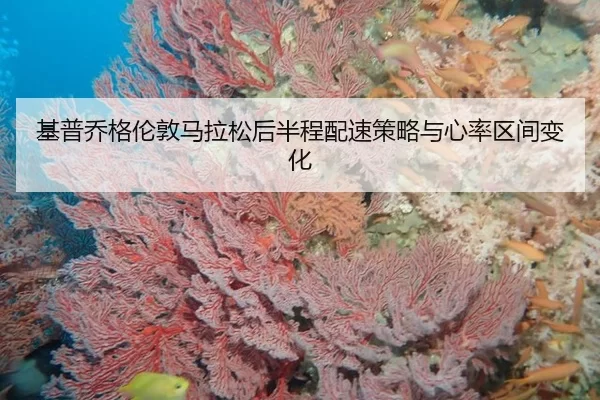 ji-pu-qiao-ge-lun-dun-ma-la-song-hou-ban-cheng-pei-su-ce-lve-yu-xin-lv-qu-jian-bian-hua-2-856.jpg